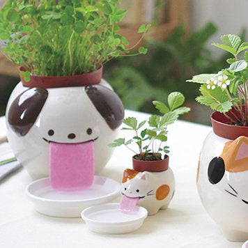 Peropon吸水貓狗小盆栽