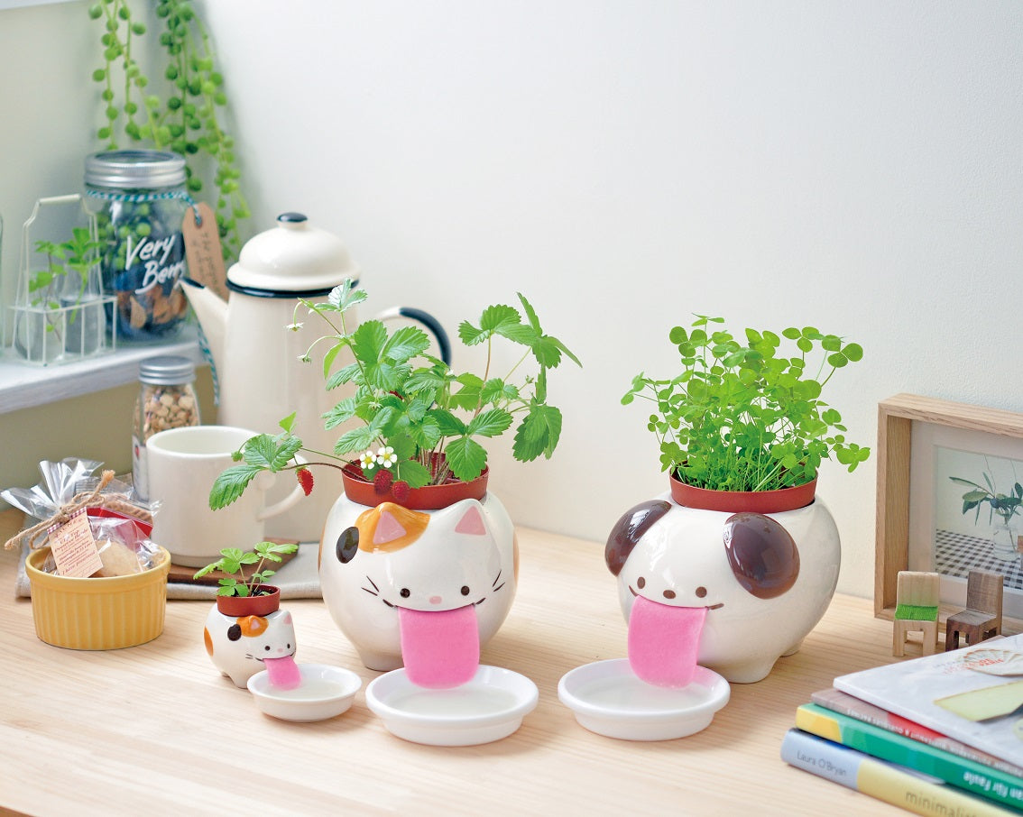 Peropon吸水貓狗小盆栽