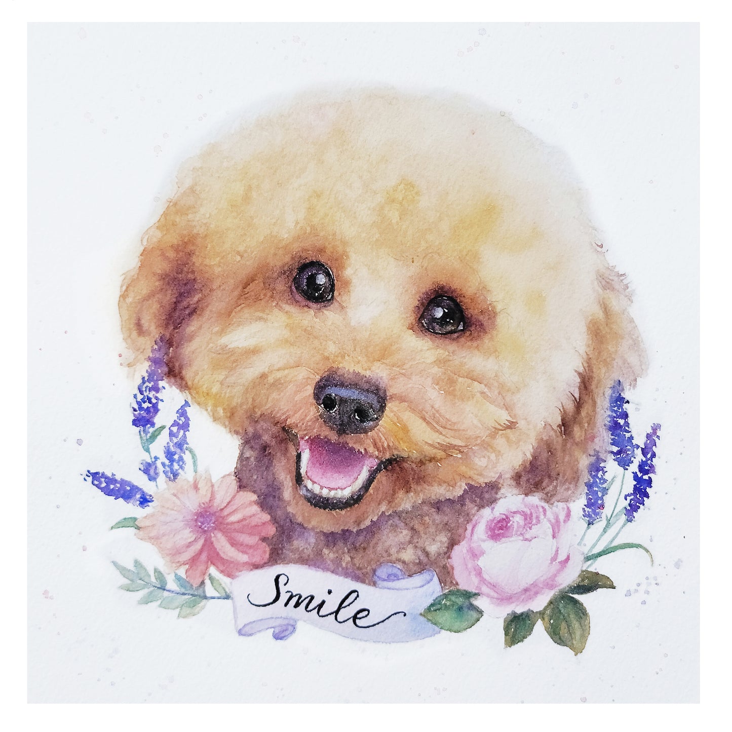 Poodle Watercolor