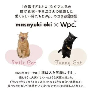 貓咪可愛肉球雨傘