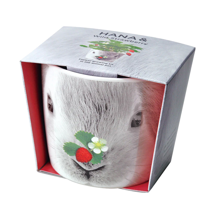 動物陶瓷杯系列 HANA & Animals