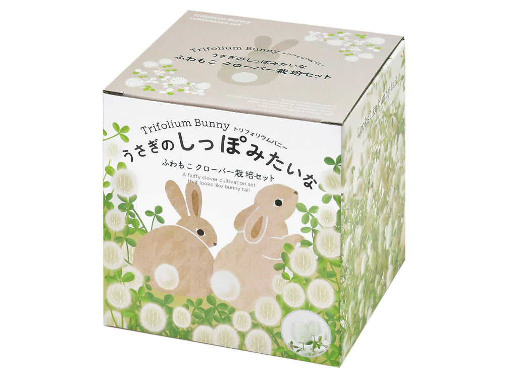 棉花兔尾三葉草盒子