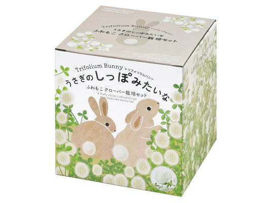 棉花兔尾三葉草盒子