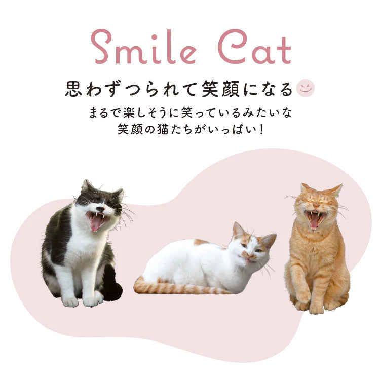 貓咪可愛肉球雨傘