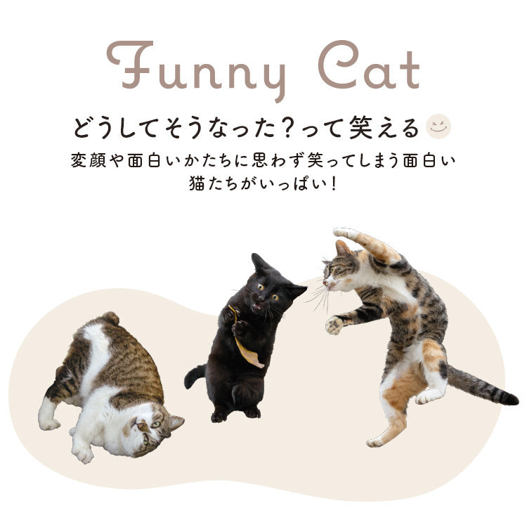 貓咪可愛肉球雨傘