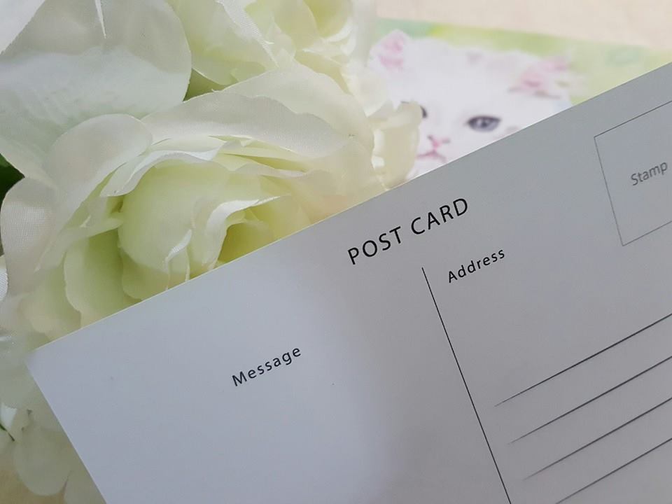 Kathleen Wong Animal Postcard