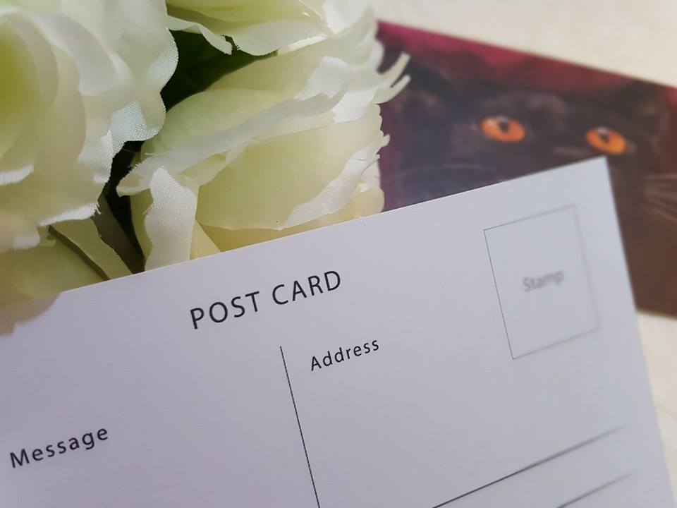 Kathleen Wong Animal Postcard