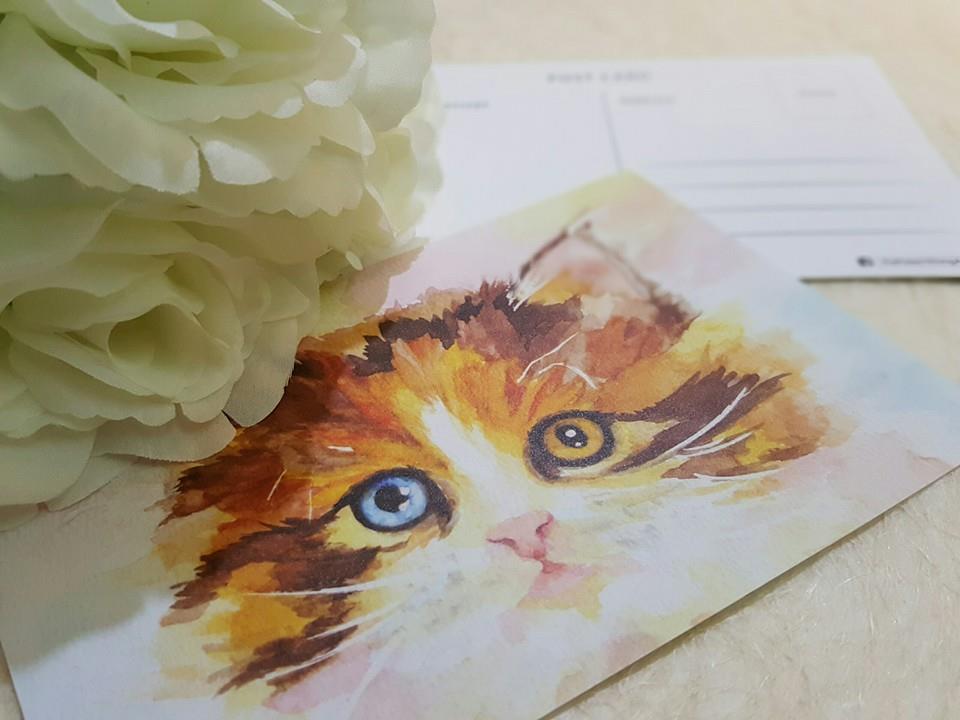 Kathleen Wong Animal Postcard