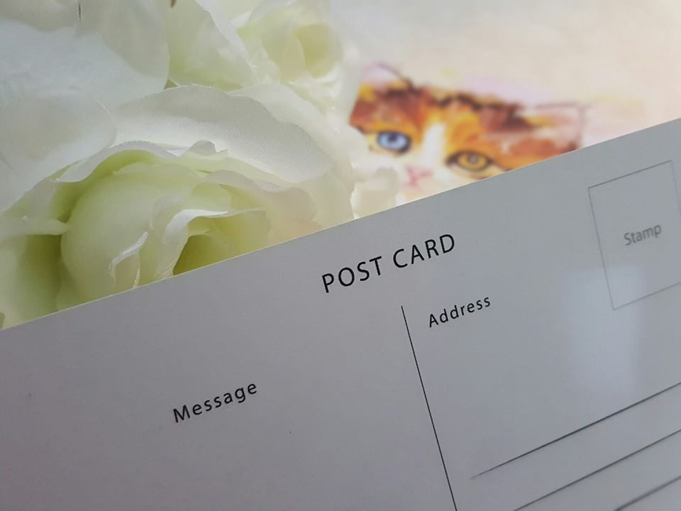 Kathleen Wong Animal Postcard