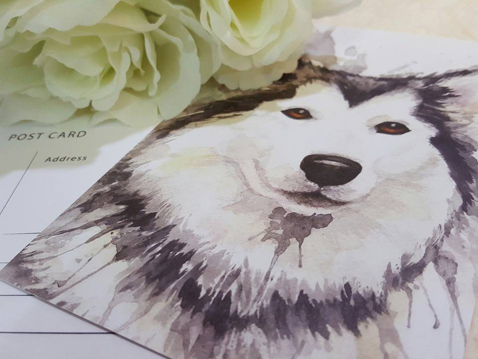 Kathleen Wong Animal Postcard