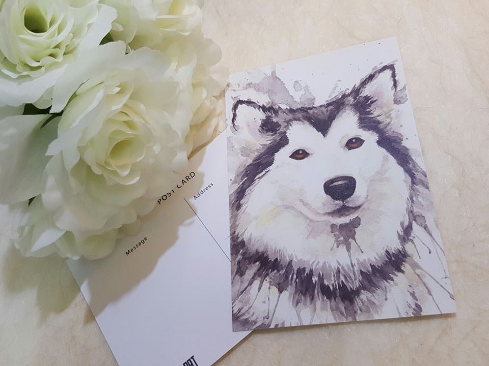 Kathleen Wong Animal Postcard