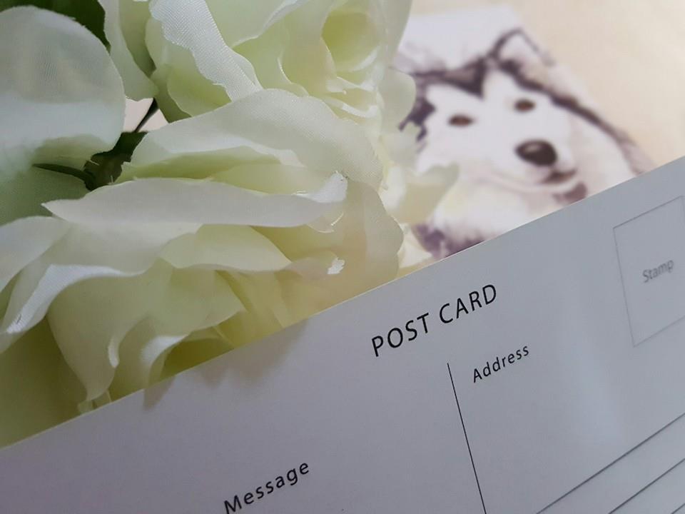 Kathleen Wong Animal Postcard