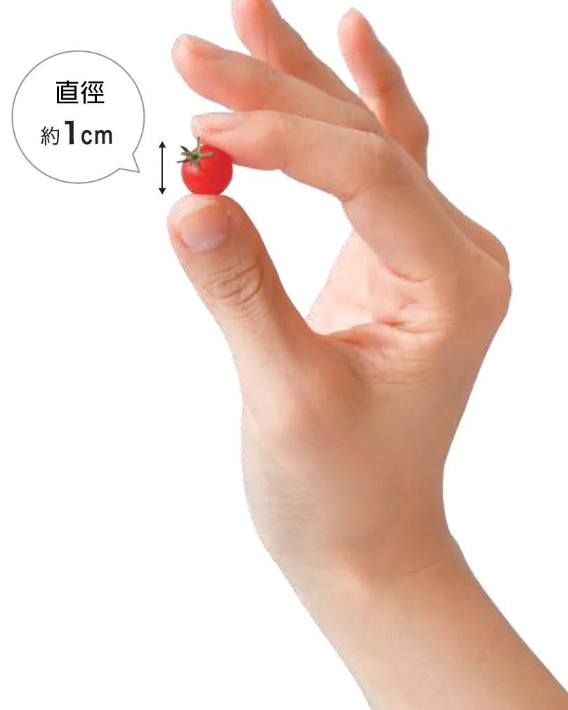 迷你番茄栽培套裝 MICRO TOMATO